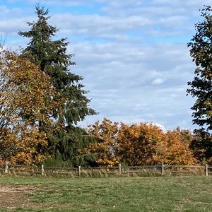 Meet your Posher, Orion